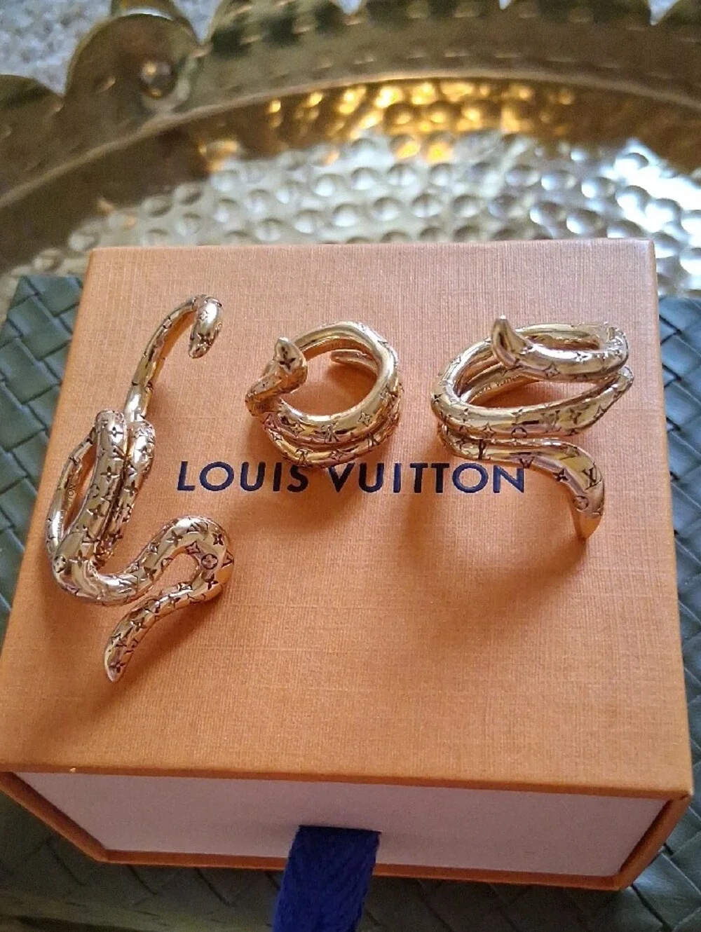 Louis Vuitton authentic louis